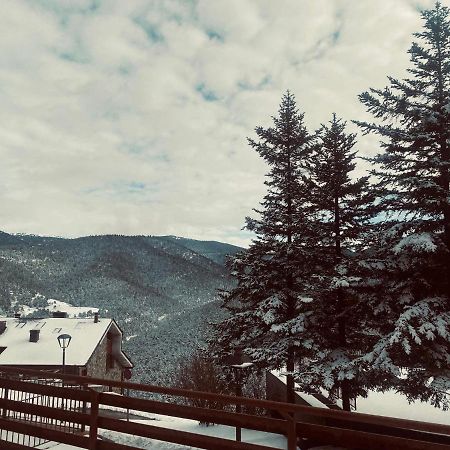 Apartament La Molina 阿尔普 外观 照片